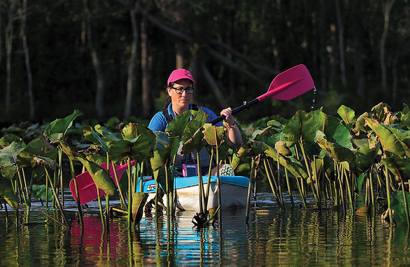 Barren Creek kayaker